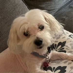 Meet your Posher, Melly